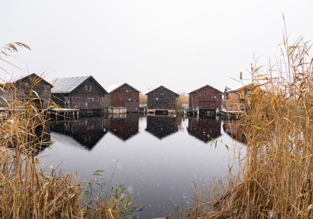     Lakeside cabins in winter on Lake Neusiedl / Neusiedler See